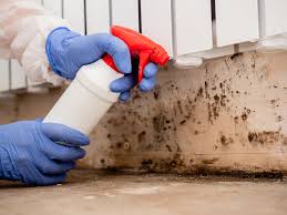 Best Biohazard Mold Removal in Chillicothe, MO